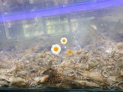 -盒马鲜生(公园1903店)