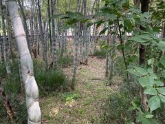 -李时珍纪念馆