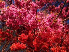 -天龙八部武侠城