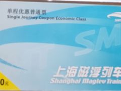 -龙阳路磁悬浮列车总站-停车场