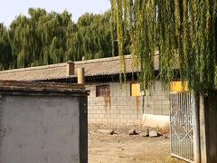 -张掖大佛寺景区