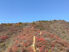 -水峪民俗村