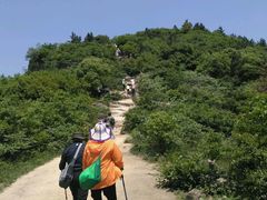 -灵岩山风景区
