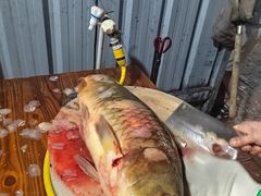 -61号餐吧(兴坪古镇漓江店)