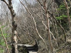 -白草畔自然风景区