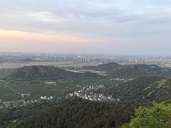 -树山生态村