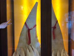 -阿一鲍鱼·20年匠心传承(天河北旗舰店)