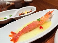 生腌大红虾-喜鼎海胆水饺(东港店)