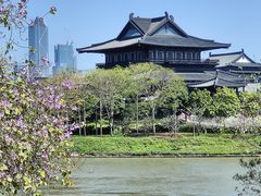 -海珠湖公园