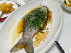 -常胜鲍鱼(吉大店)