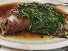 -海天花园酒家