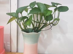 -老闽味沙茶面·姜母鸭(传承35年曾厝垵店)