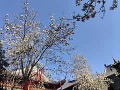 -长春观