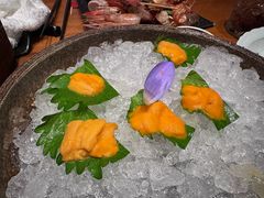 -月龍吟(朝龙汇店)