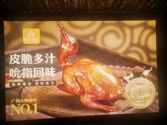 -百利鸽王(紫薇路店)
