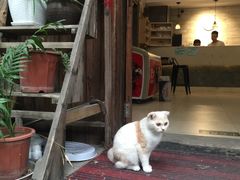 -苏州桃花坞国际青年旅舍