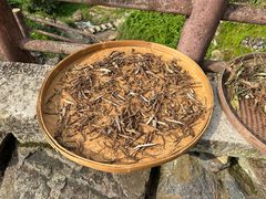 -初溪土楼群