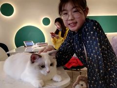 -飞行喵MR PILOT|猫舍·猫咖(静安大融城店)