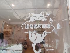-猫咪派对(江南西店)
