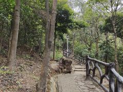 -大雁山风景区