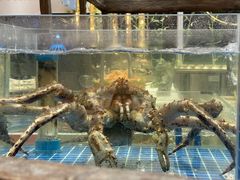 -半岛听涛蒸汽海鲜自助(K11店)