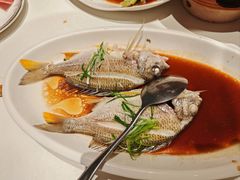 -闽海肴(北辰荟店)