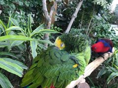 -南宫五洲植物乐园