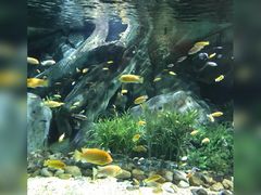 -福州罗源湾海洋世界旅游区