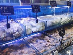 -渔民船说·北塘海鲜·天津菜·海肠捞饭(北塘古镇店)