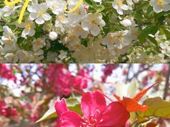 -元大都城垣遗址公园