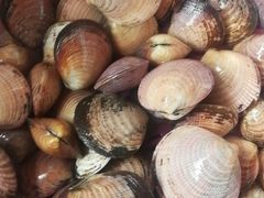 -江杨农产品批发市场