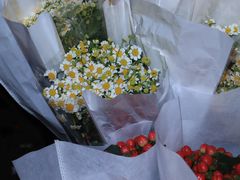 -循礼门鲜花花市(武汉循礼门店)