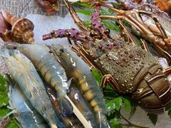 -白仁仔· 活烤海鲜 宵夜(豫园店)