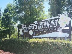 -田园东方蜜桃村的田野营地