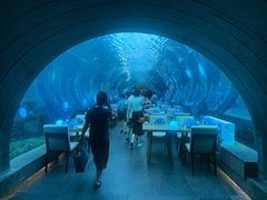 -海棠湾洲际-涛·海底餐厅·美人鱼·自助餐·海底隧道