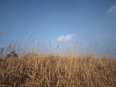 -萍乡武功山风景名胜区