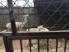 -河北村民俗体验园