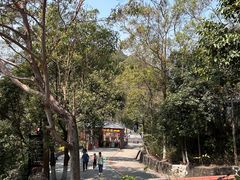 -东莞观音山旅游风景区