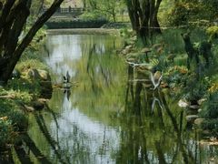 -上海共青森林公园