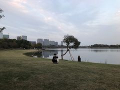 -桐乡凤凰湖
