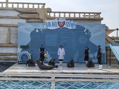 -秦皇岛乐岛海洋王国