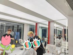 点击看大图 -金棕榈