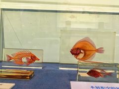 -大连自然博物馆