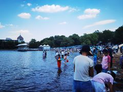 -长春市南湖公园