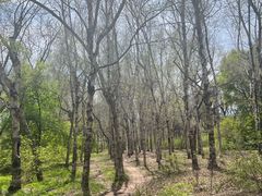 -长春市南湖公园