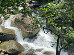-大鄣山卧龙谷景区