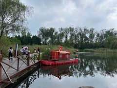 -溱湖国家湿地公园