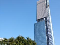 -紫峰大厦