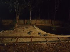 -清迈夜间动物园
