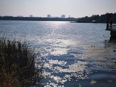 -长春市南湖公园